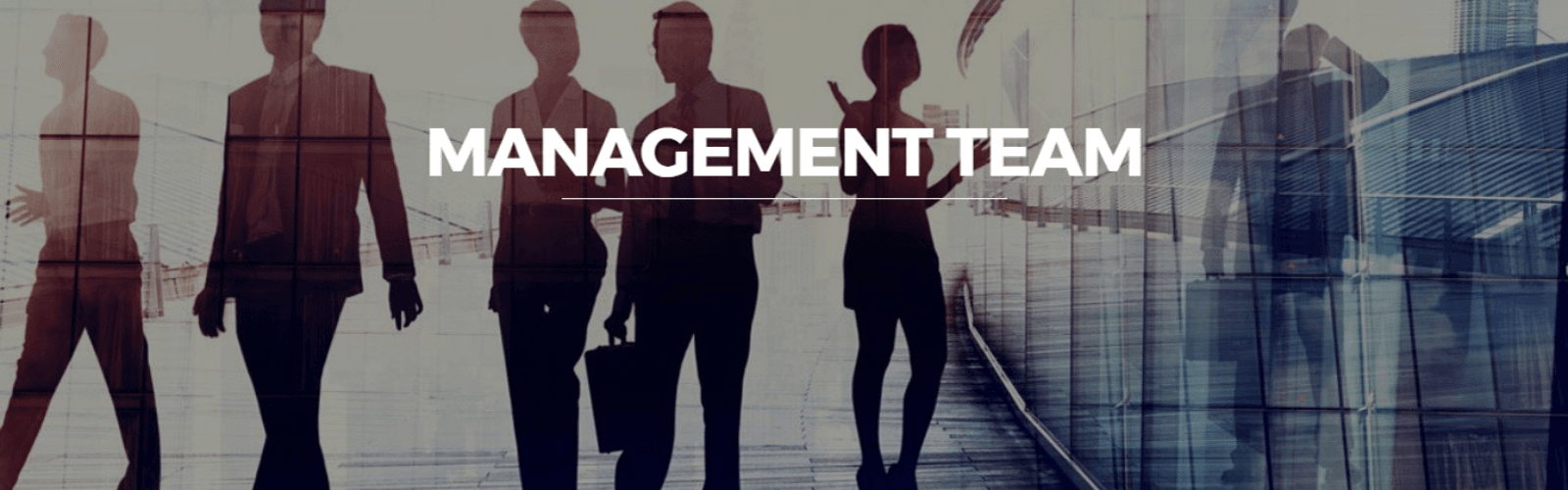 Management Team
