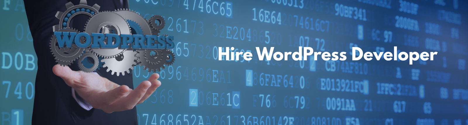 Hire WordPress developer